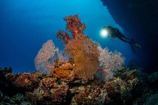 錫帕萊高氧空氣潛水體驗（PADI五星級潛水中心）