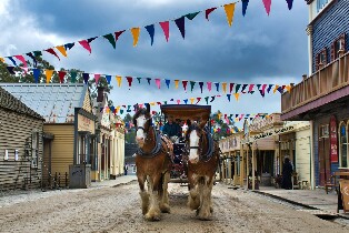 疏芬山 & 墨爾本尤利卡觀景臺 & 植物園一日遊