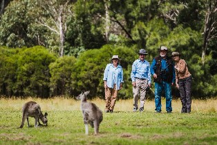 堪培拉野生動物半日之旅