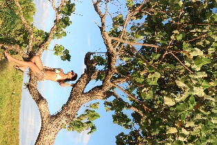 錫亞高島探索之旅