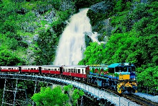 澳洲凱恩斯庫蘭達熱帶雨林一日遊