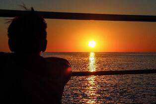 澳洲短鰭海豚夕陽遊船（布魯姆出發）