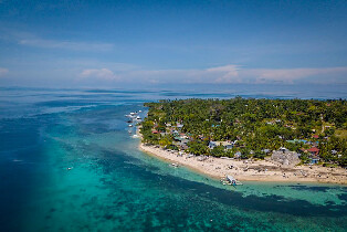 薄荷島帕米拉坎島之旅（含賞海豚＆海龜）