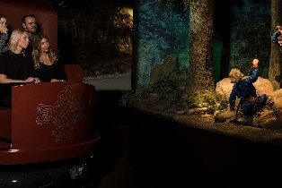 斯德哥爾摩維京博物館門票