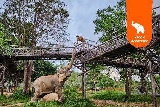 蘇梅島大象王國（Elephant Kingdom）體驗