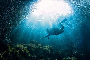 薄荷島PADI開放水域潛水課程（PADI五星級潛水中心）