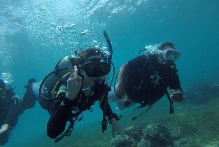 麥克坦島 PADI 五星潛水中心體驗潛水