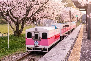 【熊本出發】九州高千穗一日遊：高千穗峽谷遊船・上色見熊野座神社/高千穗小火車・阿蘇山・草千裏