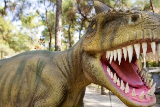 安塔利亞恐龍公園門票