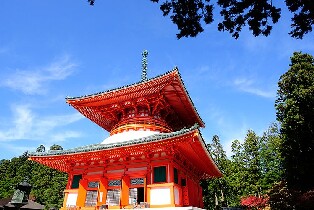 高野山往返車票