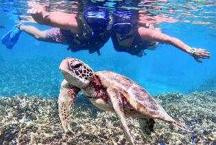 沖繩宮古島浮潛&洞穴探險體驗