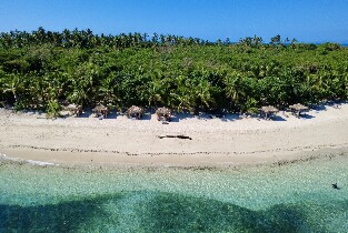 庫克船長全日航行與日落晚餐遊船組合