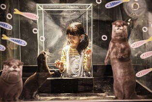 慶州Zoolung Zoolung室內動物主題公園門票