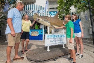 基韋斯特水族館門票