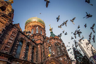 哈爾濱市區一日遊 ：冰雪大世界/東北虎林園/極地館三選一