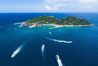 三亞周邊遊 |  陵水分界洲島 猴島公園私人導覽一日遊