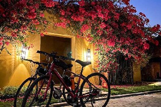 利雅得哈尼法谷全日自行車之旅