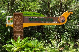 【古晉出發】實蒙谷野生動物中心半日遊