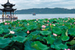 [China Railway Tour] Hangzhou West Lake Cruise + Liuhe Pagoda + Hangzhou Longjing Tea Garden + Ancient-style Commercial Street Hefang Street 1-Day Tour