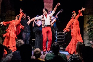塞維利亞弗拉門戈表演（含可選購舞蹈博物館）