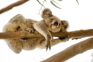 磁島西海岸生態探險之旅