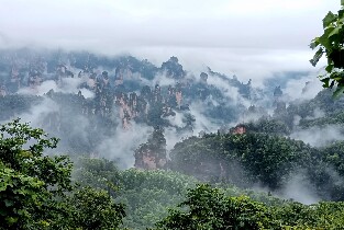 張家界國家森林公園門票