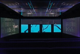 新西蘭皇后鎮Time Tripper水下探索體驗門票