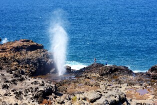 歐胡島終極環島一日遊