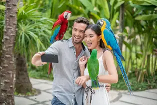 峇裏島野生鳥園門票