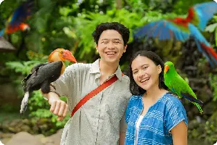雅加達Faunaland Ancol動物園門票