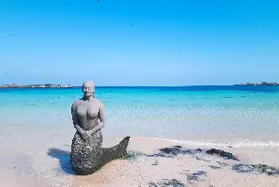 產品圖片