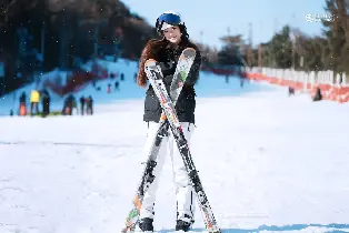 Vivaldi Resort / Oak Valley / Elysian Gangchon Ski Resort Private Transfer Service