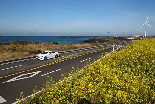 濟州島包車服務