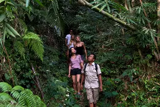 峇里島梅森探險公司：德哥拉朗梯田熱帶叢林健行之旅