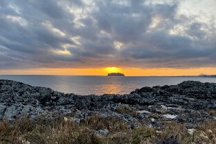 Seogwipo Cheonjiyeon Waterfall Sunset & Olle Market Half-Day Tour