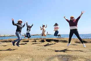 濟州全區包車遊 - 咸德海灘+城邑民俗村+城山日出峯+正房瀑布+Olle Market+柱狀節理帶+ 奧雪綠茶博物館