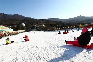Seoul Land & Seoul Grand Park One-Day Tour (with Pickup)