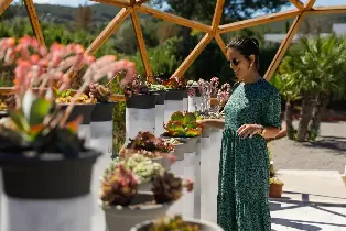 Ibiza Island Biotechnology Botanical Garden Tour
