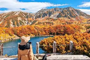 【名古屋出發】2026立山黑部&上高地秋季限定賞楓二日遊（保證提供交通票保證入山）
