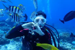 台東｜綠島藍莎潛水中心｜FUN DIVE 岸潛｜需潛水執照
