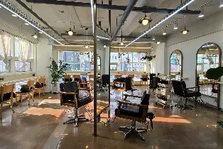 OLRANG Hongdae: K-Pop Idol Hair Styling & Beauty Care [Shampoo, Cut, Colour, Perm & Styling Care]