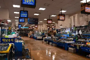 Seoul: Tour of Noryangjin Market, the Largest Seafood Market