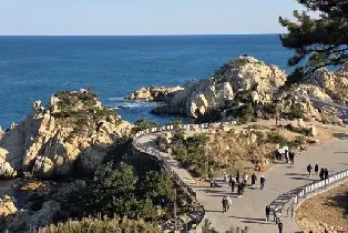 釜山免費接送| 大王巖公園 & 盤龜台巖畫歷史 & 城市熱門景點一日遊