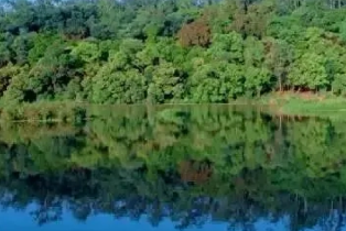 良鳳江國家森林公園植樹A/B套餐