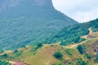 天龍頂國家山地公園（天龍頂景區成人票）