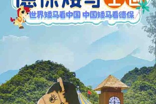 德保矮馬王國&吉星巖景區（矮馬王國門票含碰碰車2份等；吉星巖景區門票）
