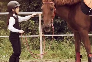 家林馬場(騎馬體驗/騎馬體驗+田野小火車)