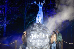 深圳哈利波特禁忌森林體驗（沉浸式魔法秘境探秘+巫師冒險）