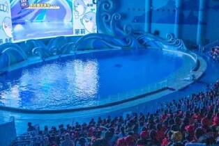 桂林融創海世界+歡樂部落（探索海洋+玩轉歡樂部落+桂林灕江後海遊園會+歡樂部落4項無動力）