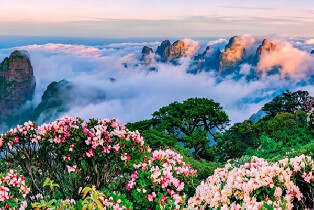 聖堂山（山民日身份包 杜鵑花仙子徒步）